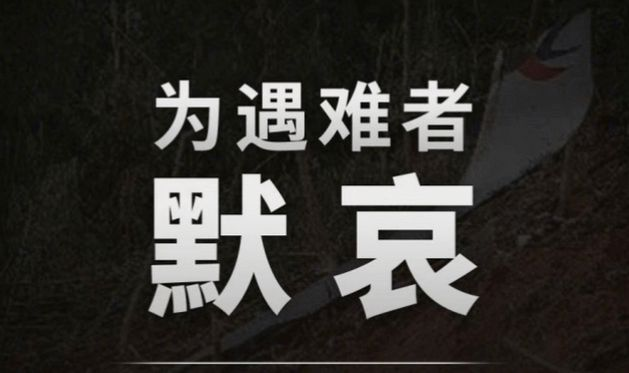 微信图片_20220411103426.png